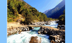 श्रमदान गरेर तमोर नदीमा काठे पुल निर्माण