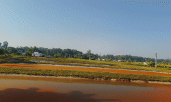 दुई करोडभन्दा बढी माछाका भुरा उत्पादन