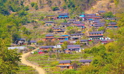 ग्रामीण क्षेत्रमा केन्द्रीय प्रसारण लाइन विस्तार गरिँदै