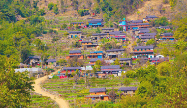 ग्रामीण क्षेत्रमा केन्द्रीय प्रसारण लाइन विस्तार गरिँदै