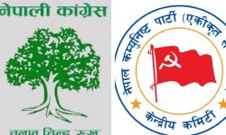 CPN (S) registers win in Gadhimai-8; NC in Ishnath-7