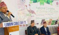 वातावरणीय सन्तुलन राख्न आवश्यक छ : मुख्यमन्त्री आचार्य