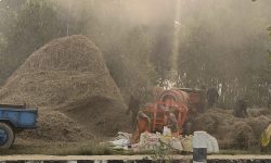 प्रविधिले दाइँ गर्ने परम्परा लोप हुँदै