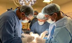 अङ्ग प्रत्यारोपणसम्बन्धी अन्तर्राष्ट्रिय सम्मेलन शनिबारदेखि