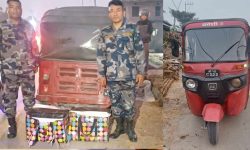 गाँजासहित अटो नियन्त्रणमा