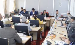 कानुन व्यवसायलाई व्यवस्थित बनाउन ऐन परिमार्जन जरुरी छ : मन्त्री चौरसिया