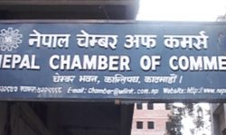 आठौँ चेम्बर एक्स्पो हुँदै