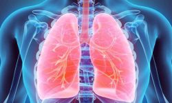 क्षयरोग अन्त्यका लागि वडा तहमै खोज अभियान