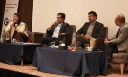 सीएनआईवाईईएफको ‘सिनर्जी’ सम्मेलन : उद्यमीलाई दिगो आर्थिक विकासमा अघि बढाउने प्रतिबद्धता