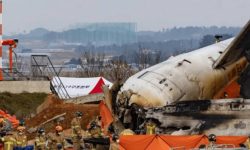 दक्षिण कोरियामा विमान दुर्घटना, १४१ जनाको सनाखत