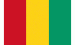 फुटबल खेल मैदानमा भागदौड मच्चिँदा गिनीमा ५६ जनाको मृत्यु