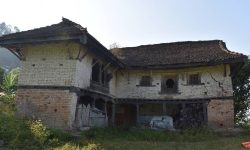 झिँगटीले छाउने कालिगढ पाउनै मुश्किल