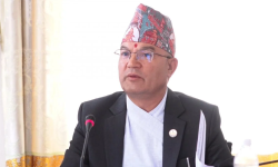 Efforts underway to minimize human-wildlife conflict: Forest Minister Shahi