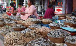 धरानमा फस्टाउँदै सिद्रा व्यापार