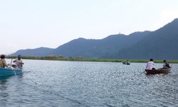 पुख्र्यौली पेसाप्रति जलारी युवाको घट्दो रुचि