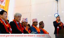 दूतावास नभएको देशमा एनआरएनएले सरकारी दूतको रुपमा काम गरेको छ अध्यक्ष डा बद्री केसी