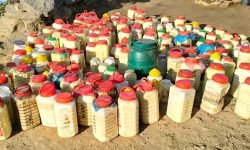 नरहरिनाथको घ्यूले बजार पाएन