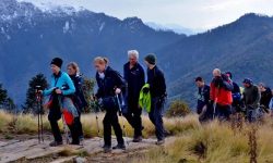 बर्सेनि बढ्दै कञ्चनजङ्घामा पर्यटक