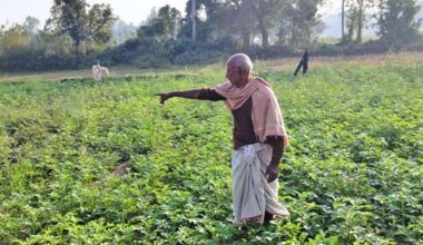 किसानलाई कुनै मौसममा आराम हुँदैन !