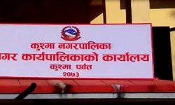 निर्माण सकिएको डेढ वर्षपछि बसपार्क सञ्चालनमा