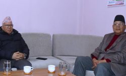 माधव नेपाल र वामदेव गौतमबीच भेटवार्ता