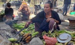 राजमार्ग छेउमा मकै पोलेरै जिविका