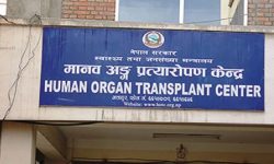 अङ्गदान र प्रत्यारोपणसम्बन्धी जानकारी अब अनलाइनबाटै