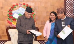 त्रिविको जग्गा हिनामिना गर्नेलाई कारबाहीको दायरामा ल्याउने ओलीको प्रतिबद्धता