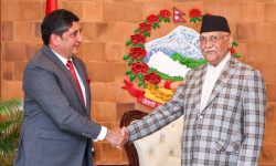 प्रधानमन्त्री ओली र पाकिस्तानका राजदूत हस्मीबीच भेटवार्ता