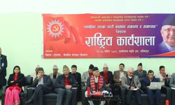 जनताको जीवनमा सकारात्मक परिवर्तन ल्याउन सिङ्गो पार्टी परिचालित हुनुपर्छ : प्रधानमन्त्री