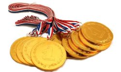 अन्तर्राष्ट्रिय पदक विजेता सम्मानित