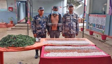 लागूऔषधसहित वीरगञ्जमा एक जना पक्राउ