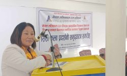 ‘कला, संस्कृति र इतिहासको अभिलेख राख्न जरुरी’