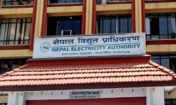 विद्युत् प्राधिकरणको बोर्डमा डा. बलबहादुर र लक्ष्मण नियुक्त