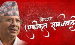 साङ्गठनिक संरचना फेरबदल गर्दै एकीकृत समाजवादी