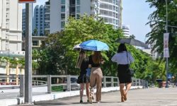सिङ्गापुरको तापक्रम ३६ डिग्री नाघ्यो