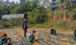 विद्यार्थीलाई आयआर्जनसँग जोड्न स्ट्रबेरी खेती