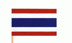 थाइल्याण्ड : पर्यटक होटेलमा आगलागी हुँदा तीन विदेशीको मृत्यु