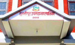 उपमहानगरको गाडी जलेपछि युवाले उठाउन थाले फोहर