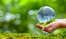 वातावरण संरक्षणमा न्यायपालिकाको भूमिका महत्वपूर्ण