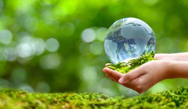 वातावरण संरक्षणमा न्यायपालिकाको भूमिका महत्वपूर्ण