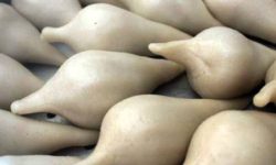 मार्गशीर्ष शुक्ल पूर्णिमाः योमरी पूर्णिमा (योमरी पुन्हि)