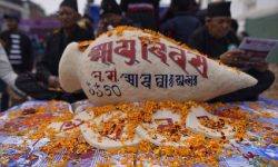 नेवाःसंस्कृतिको पुस्तान्तरण गर्न यःमरी उत्सव