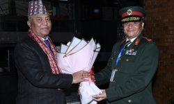 प्रधानसेनापति सिग्देल स्वदेश फिर्ता