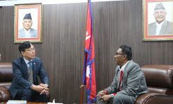 श्रममन्त्री भण्डारीसँग दक्षिण कोरियाका राजदूत पार्क ताईको शिष्टाचार भेट