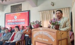 सङ्गठनात्मक एकतामा उपाध्यक्ष श्रेष्ठको जोड