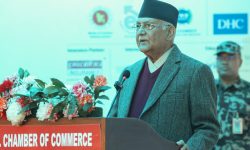 निर्यात बढाउन व्यवसायीलाई प्रधानमन्त्री ओलीको आग्रह