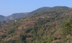 बुइपाका चार टोलमा आयातित पेयपदार्थमा प्रतिबन्ध