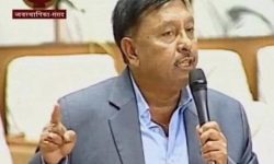 एनआरएनलाई भिसा दिने प्रावधान गलत : सांसद गिरी