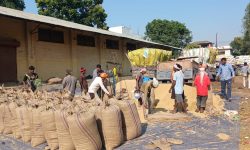 बाँकेका किसानले गरे ११ करोडको धान बिक्री